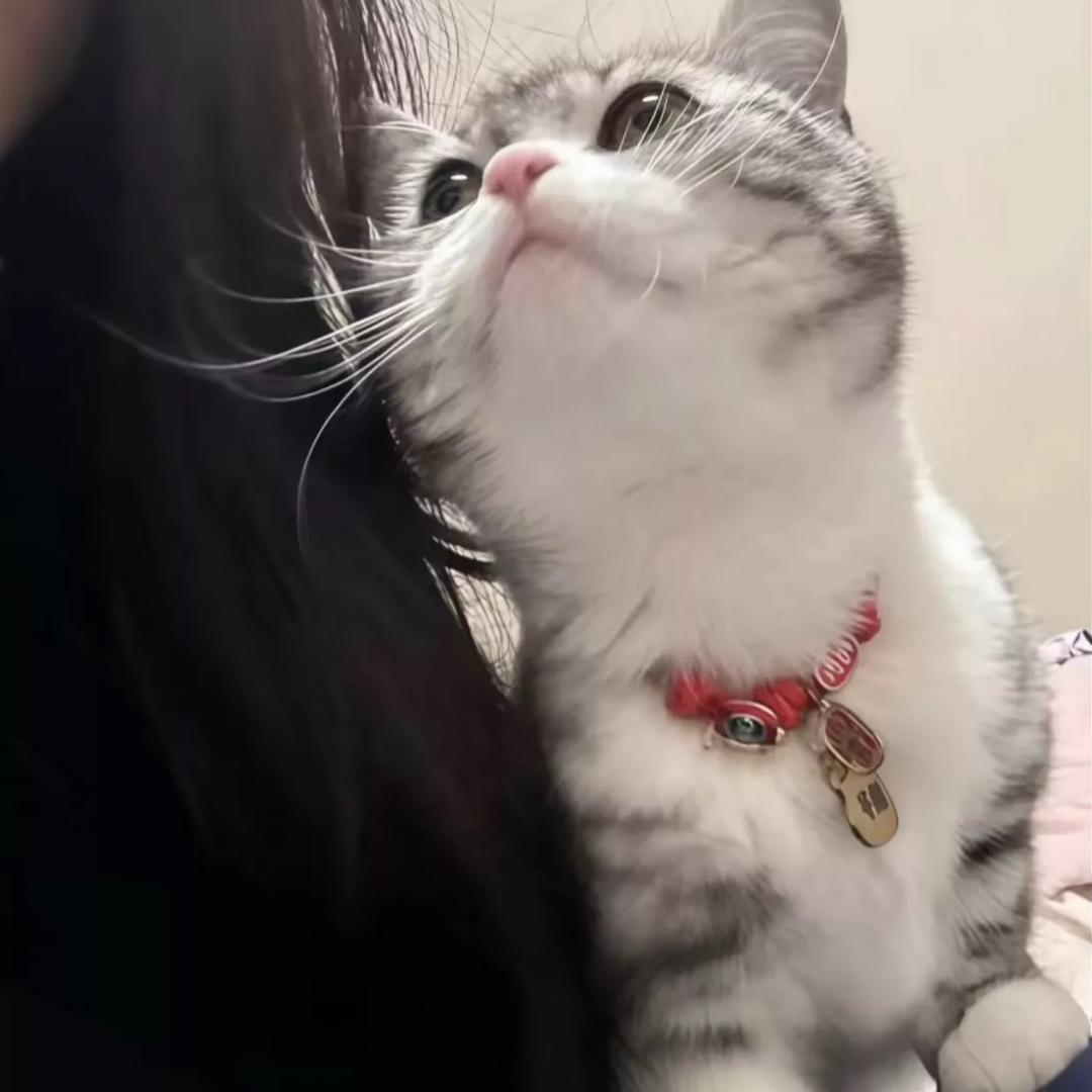 算了