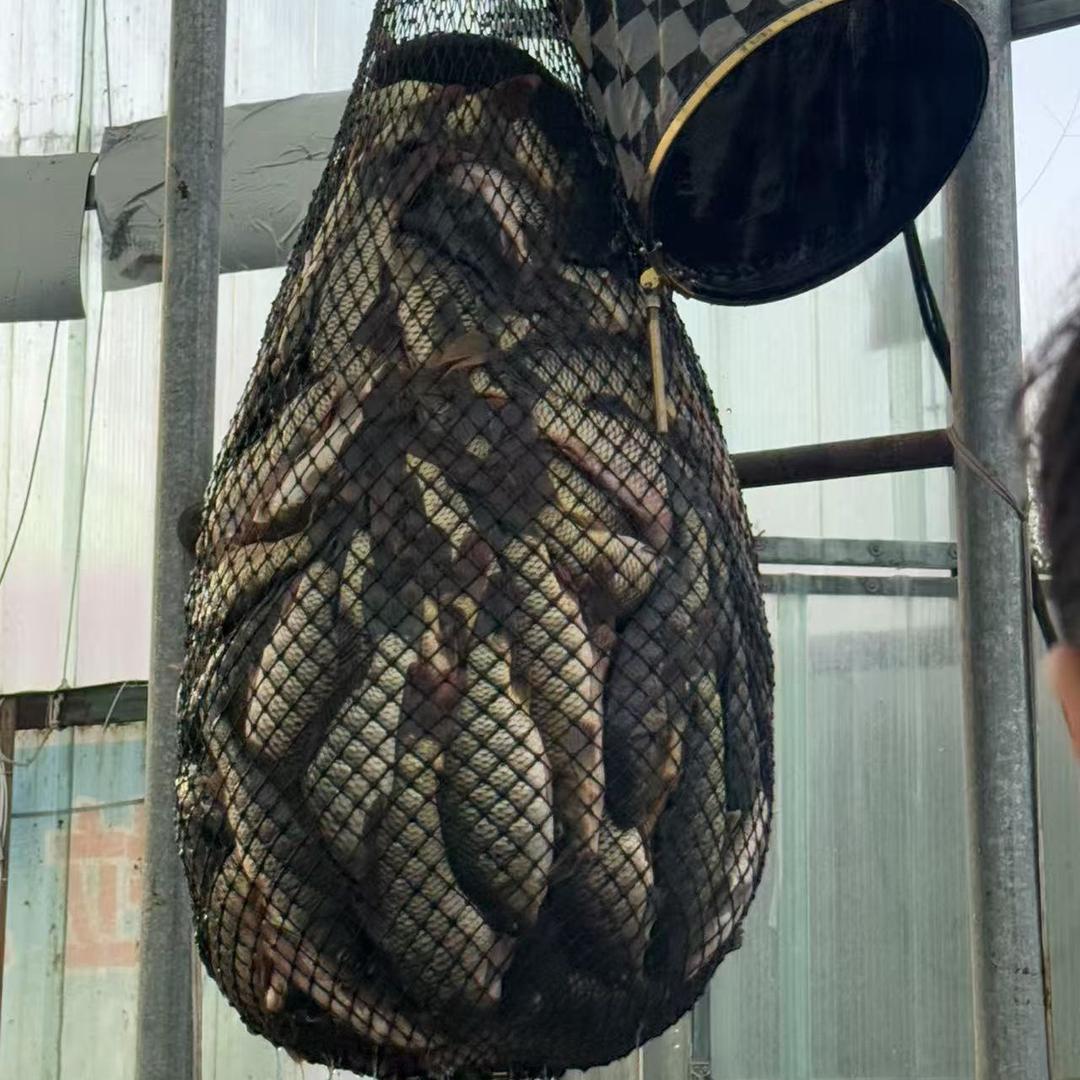 常日瓦
