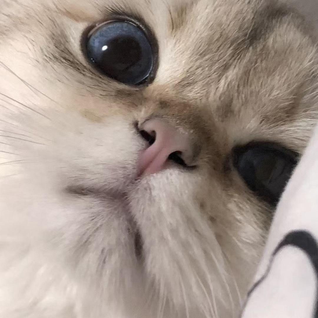 没人说的秘密
