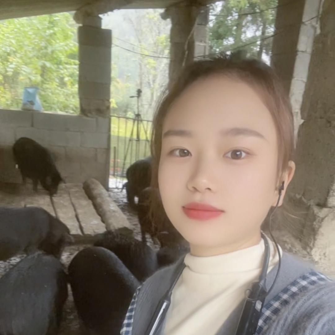 少航