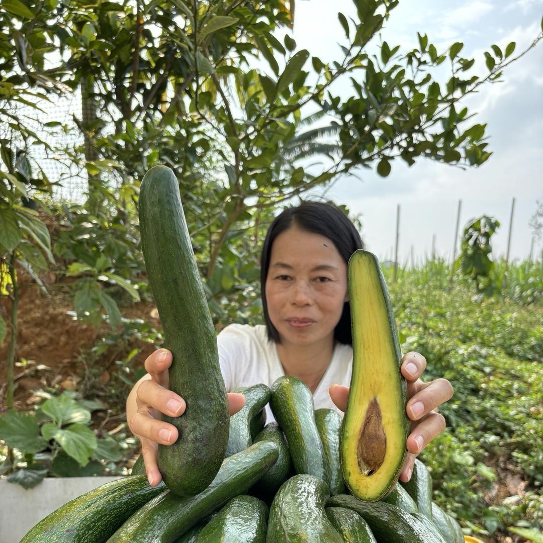 今天吃什么水果