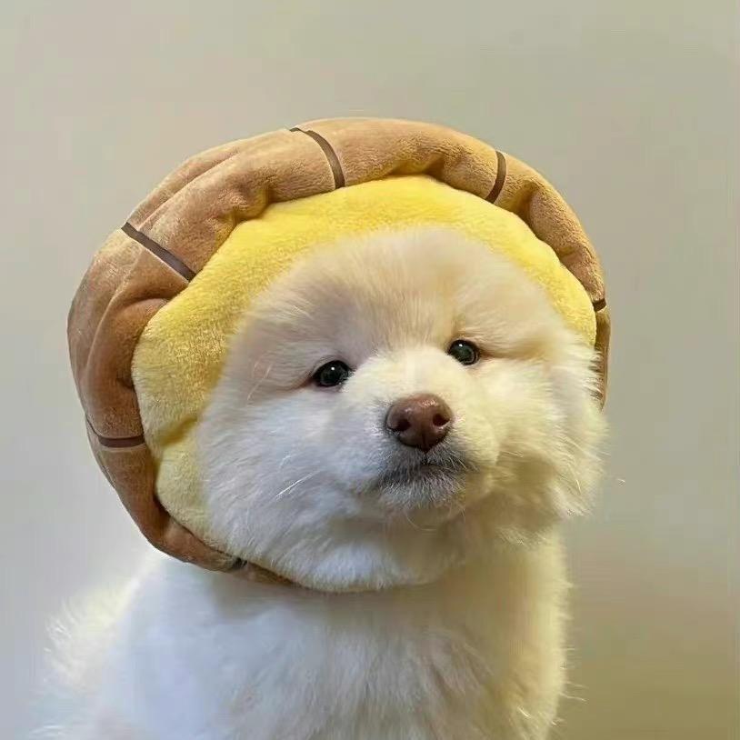 小刘日记
