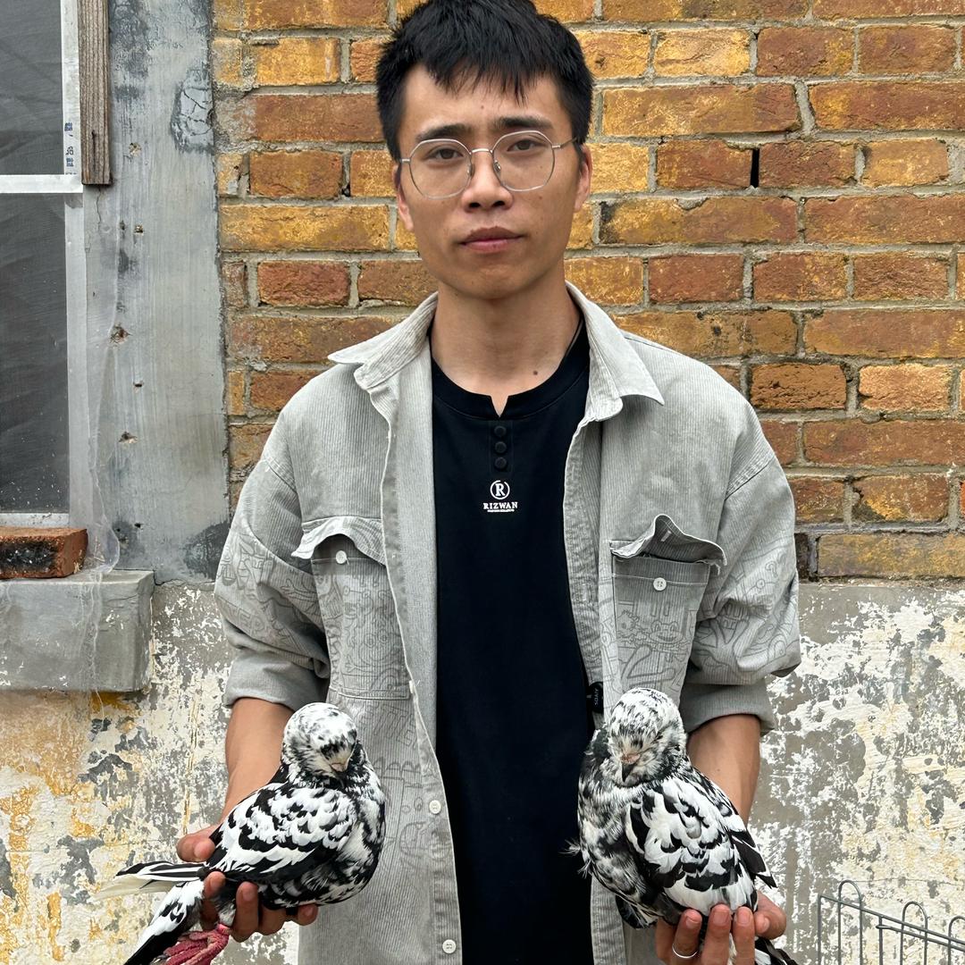 七安的情报站
