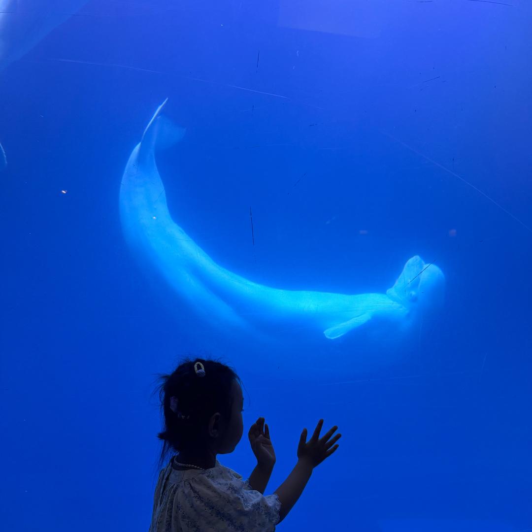 🫦亲爱 de 小曲