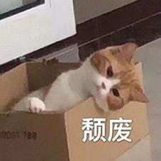 嘻嘻😁