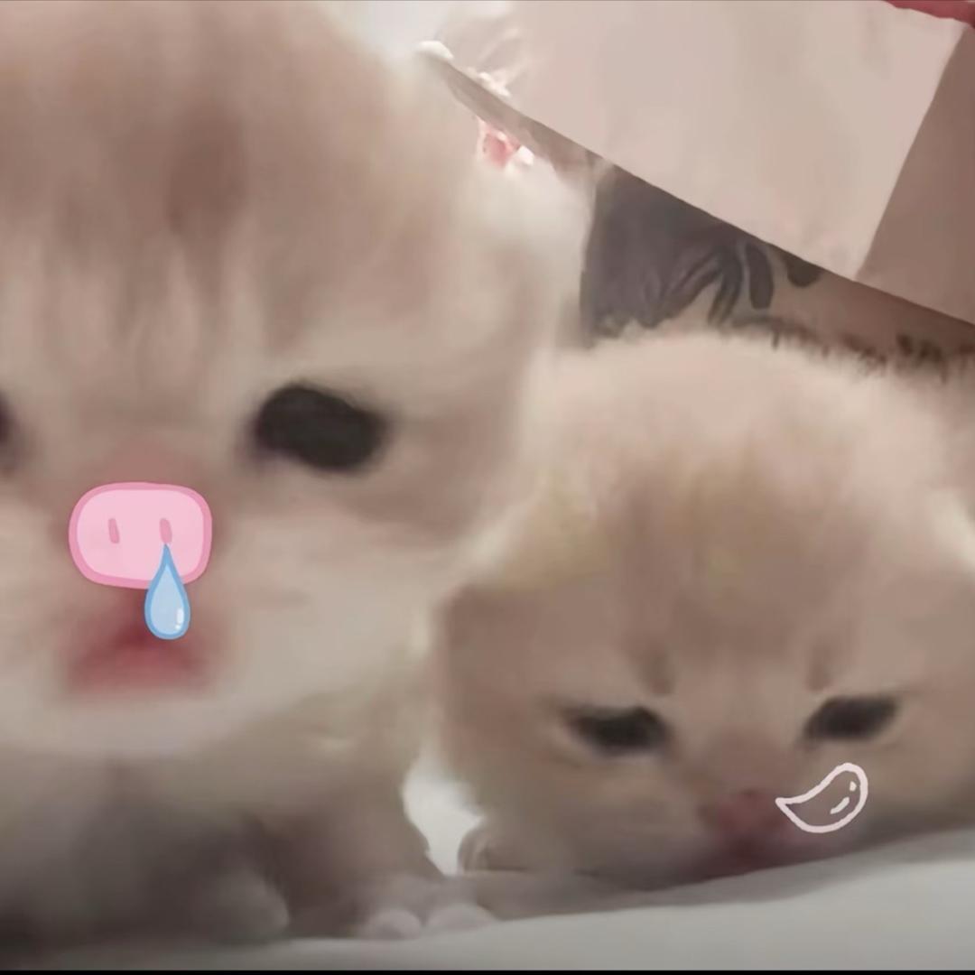 xiao奕