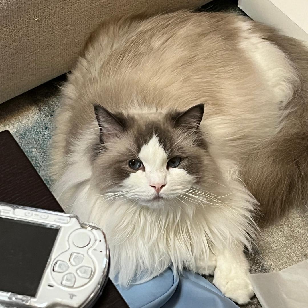 还是先吃饭吧！