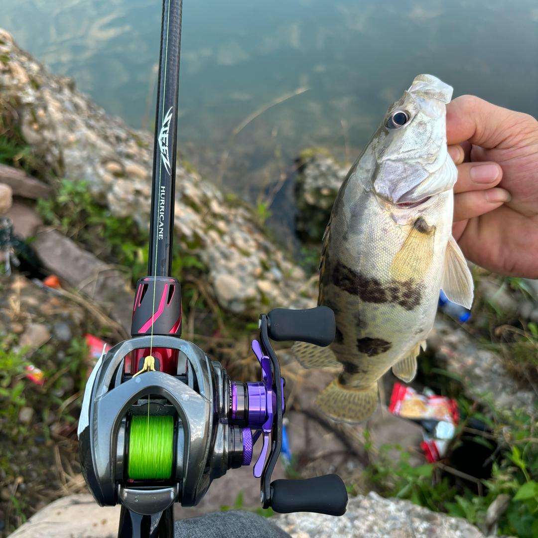 拿破轮（NC空联）