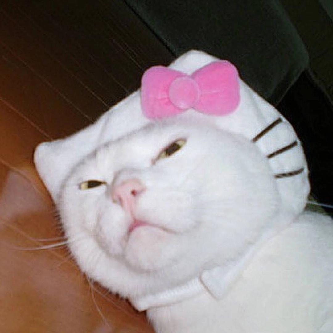 狗德猫宁宠物生活馆🐈