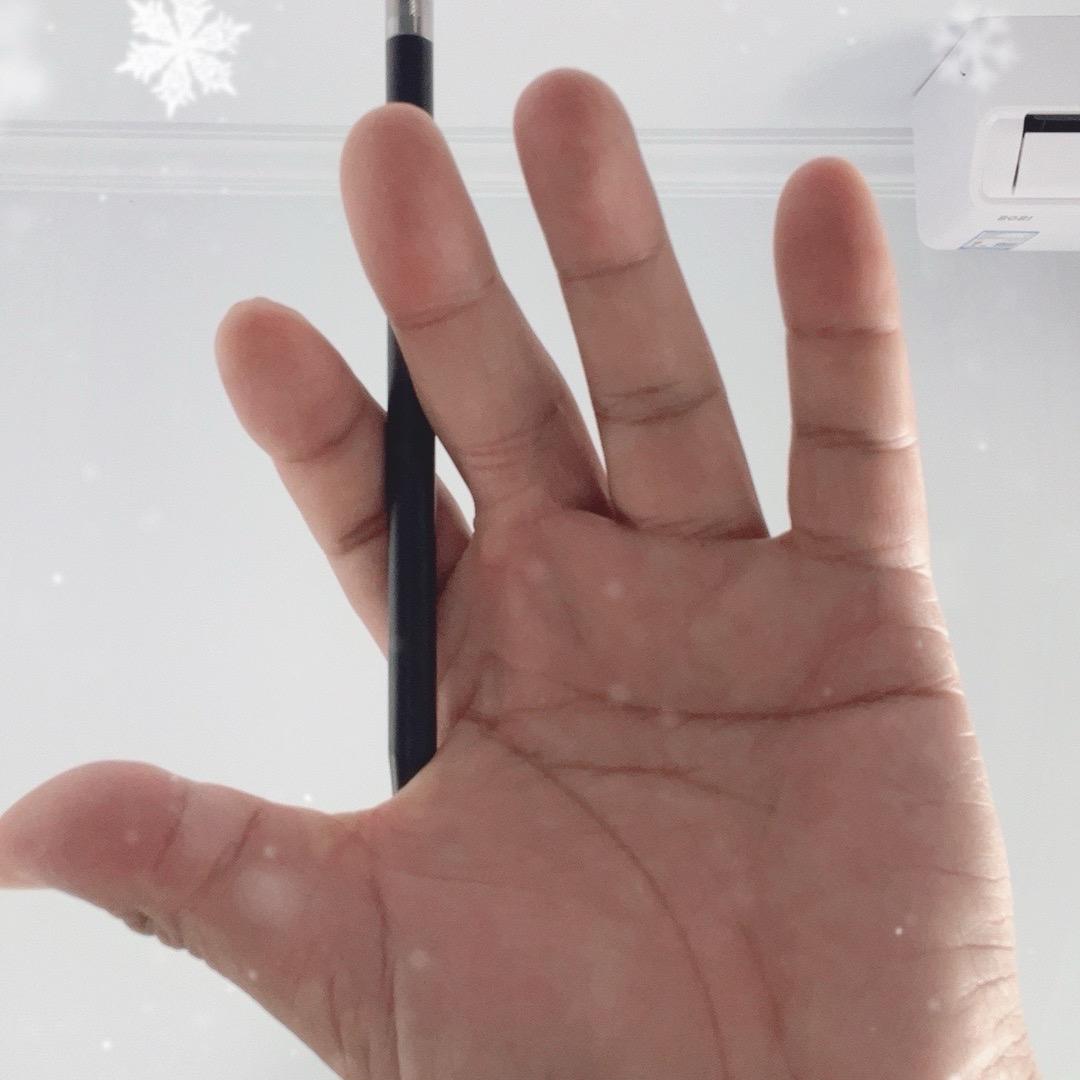 金牌速成科目一