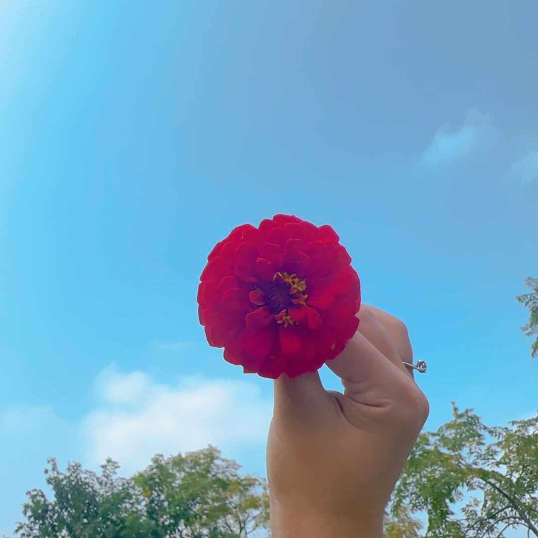 星   空