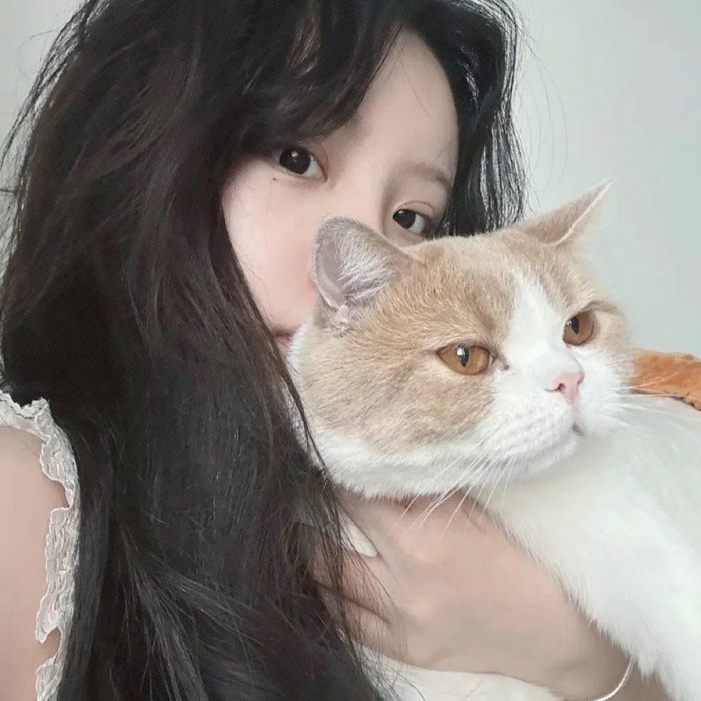 陈氏家电好物分享🌹❤️