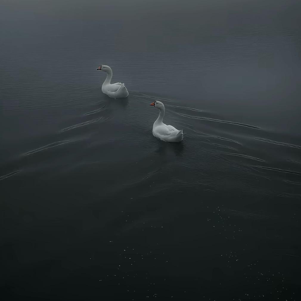 食食物者为俊杰