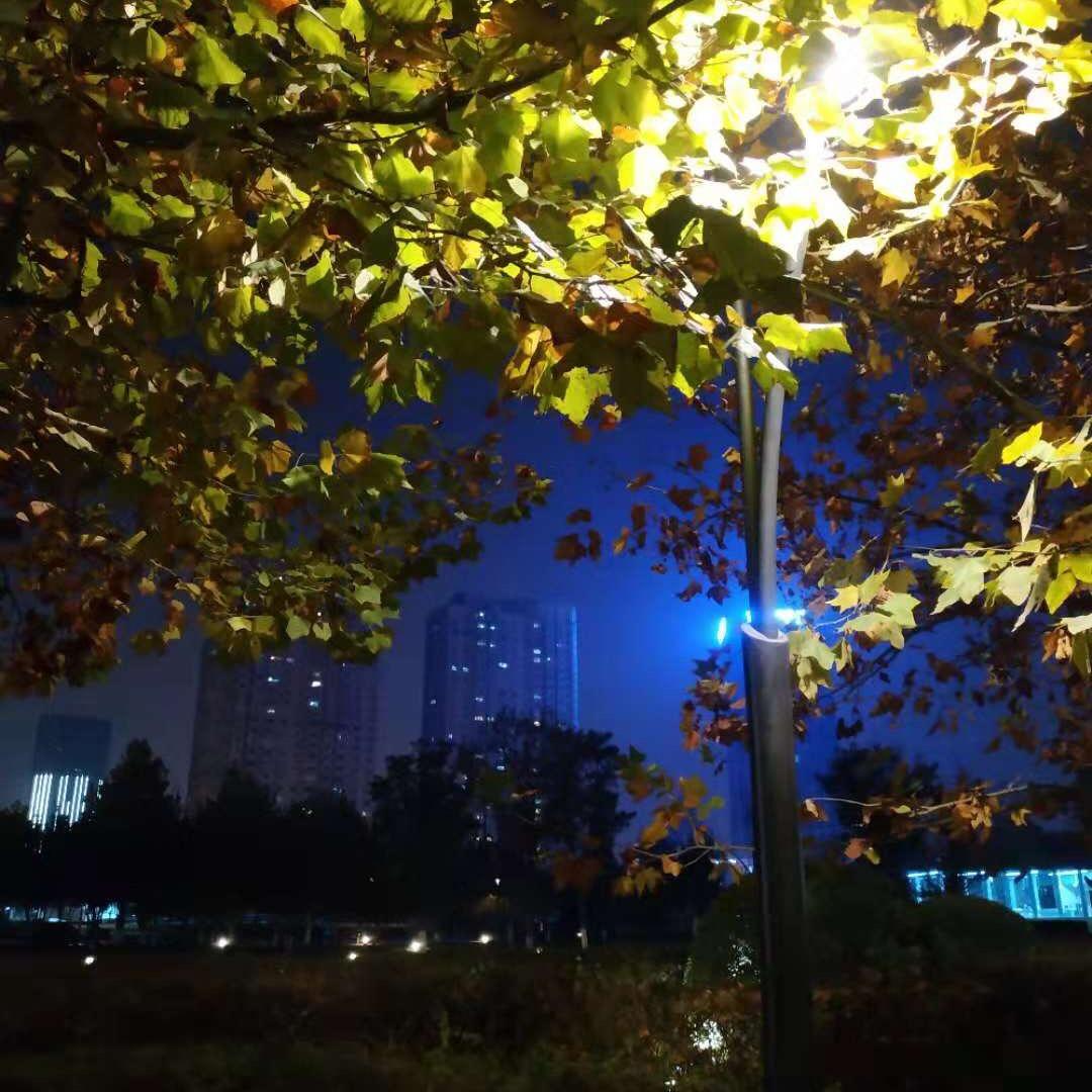 雅瑶-福仔