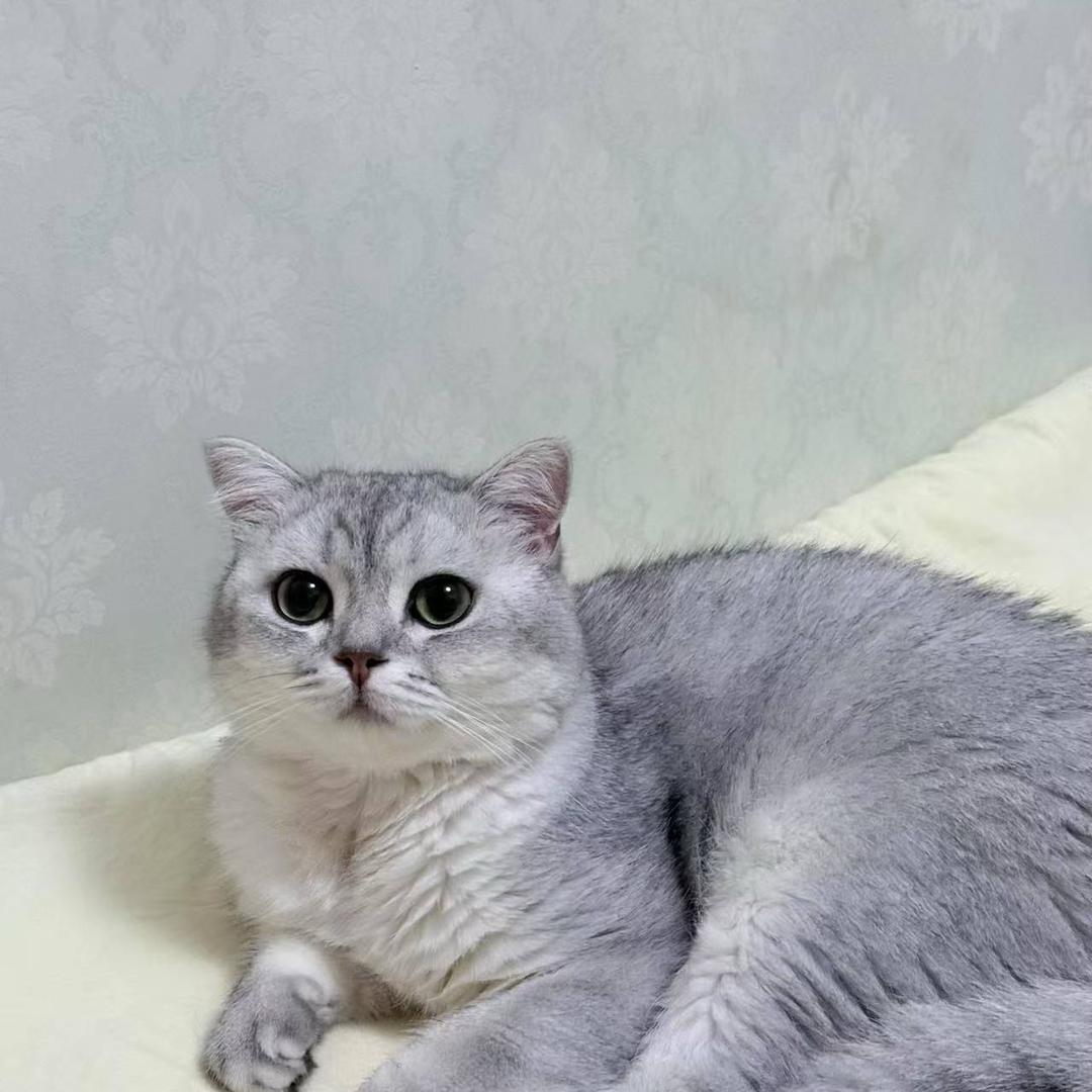 广阔无垠的旭日