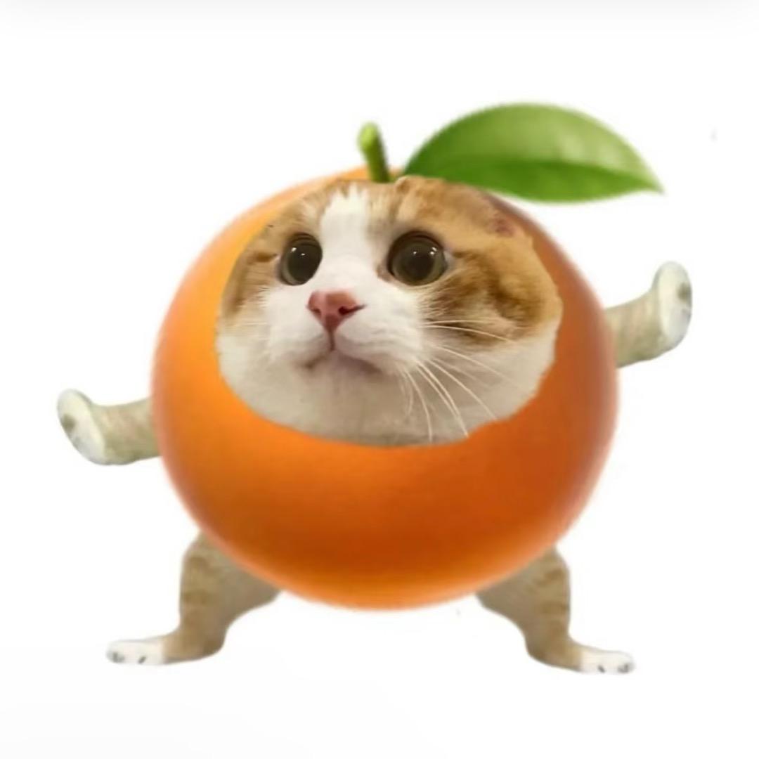 橙子拆卡