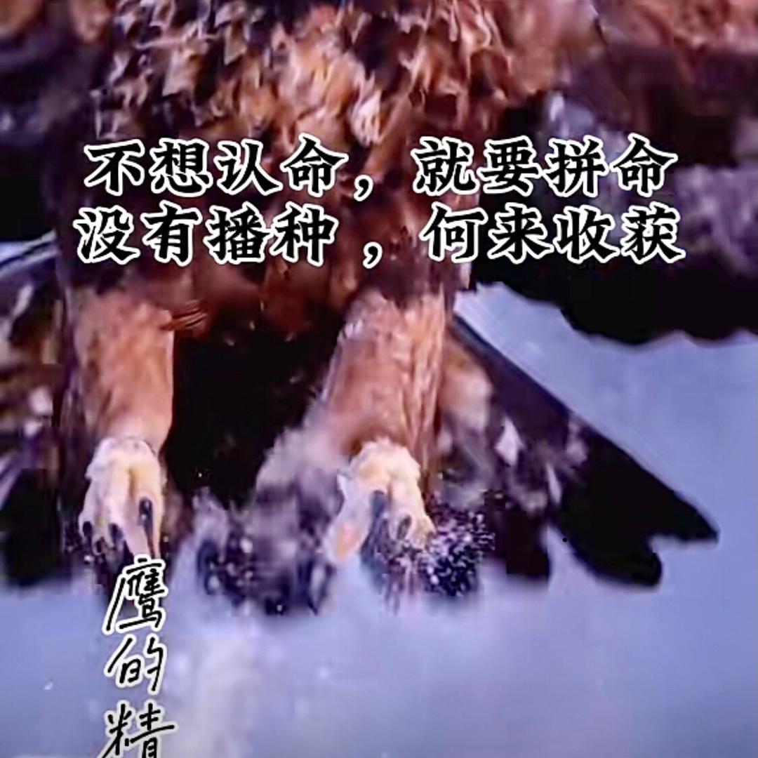 百战不殆