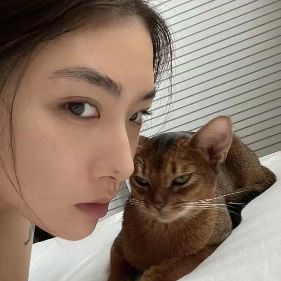 不吃蛋黄.