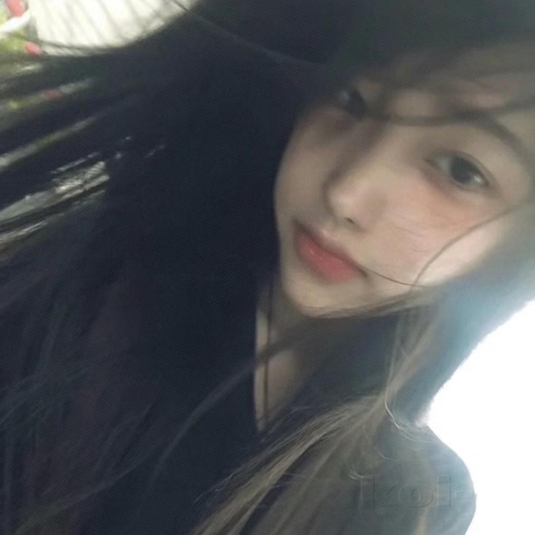 豆猪在哪里