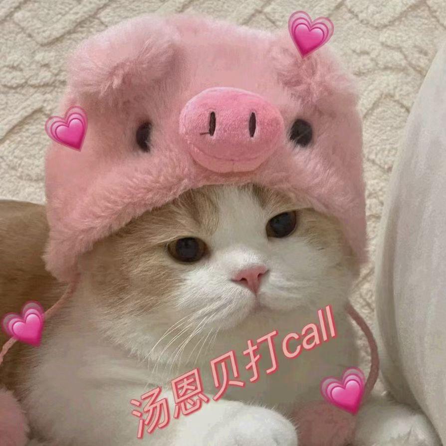 草莓甜甜的好物