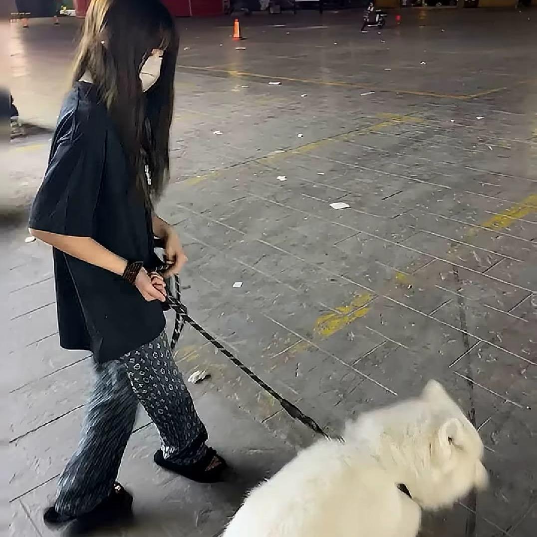 权势.