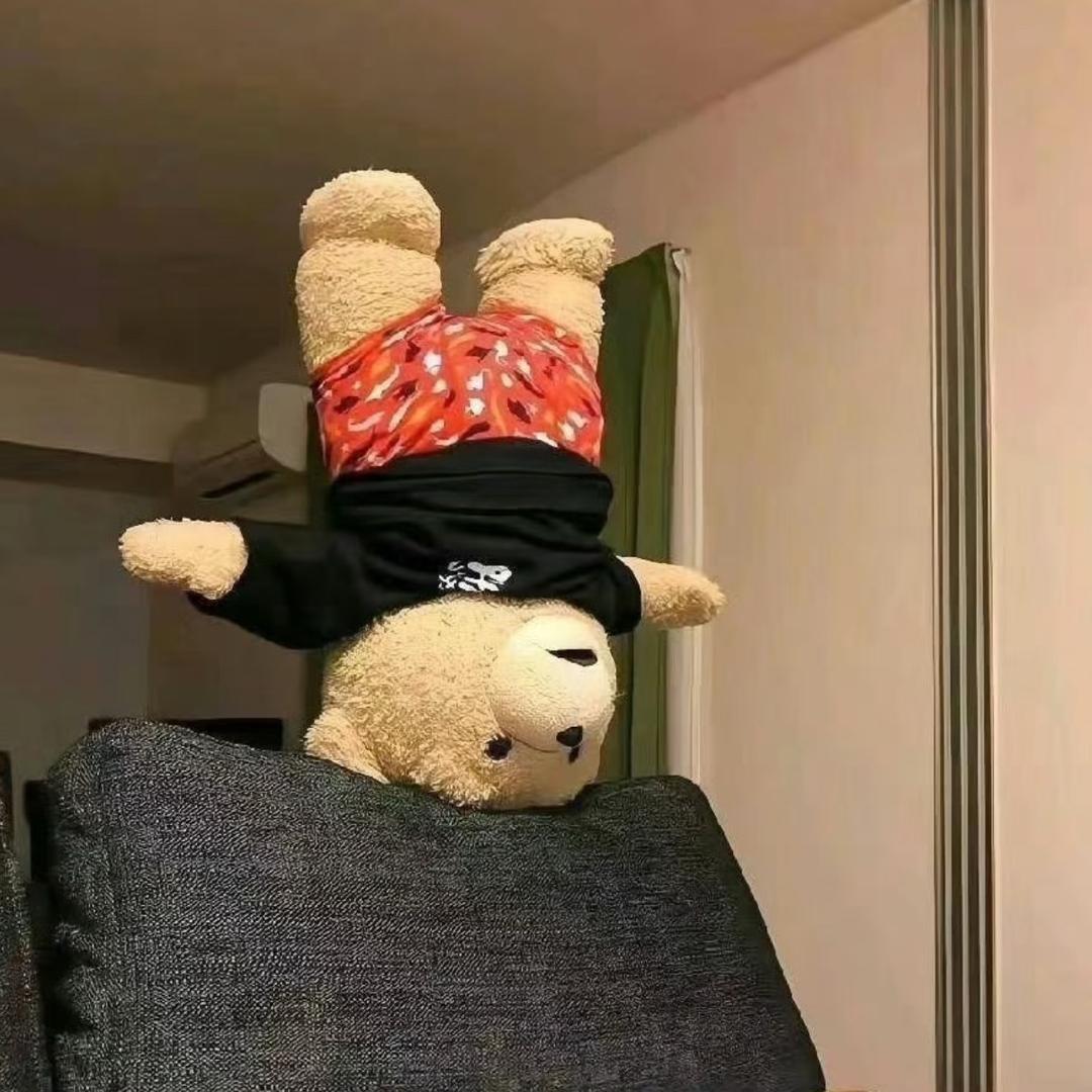 小岛西岸的来信