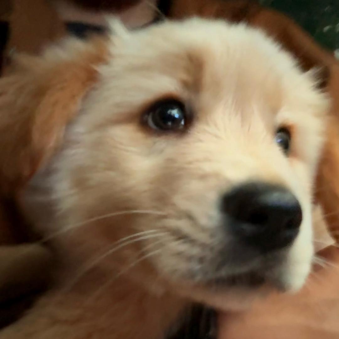 论文中了就改名