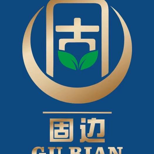 固边越南零食果干铺