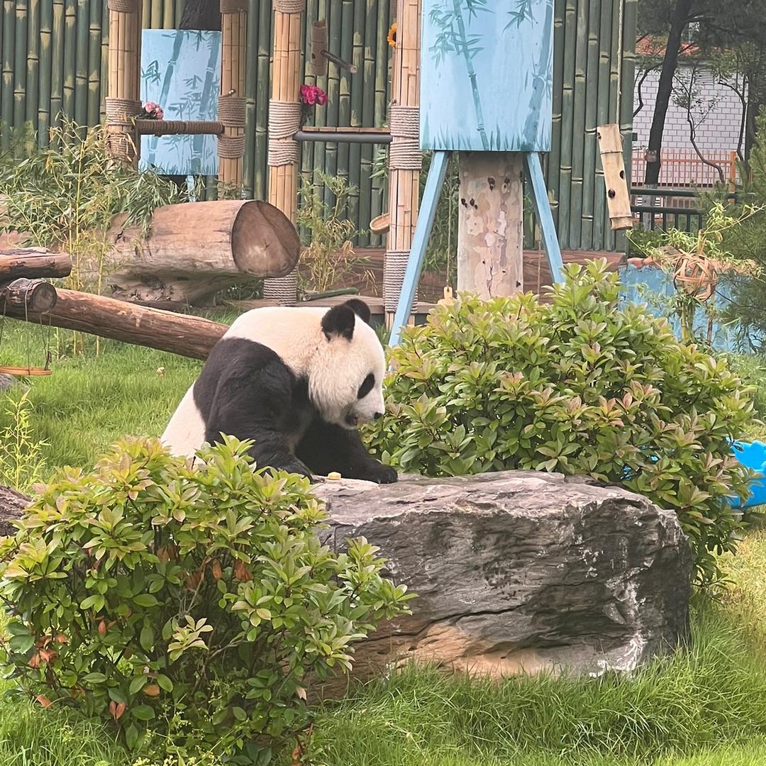 南风知意梦吹西洲¹¹⁰⁹