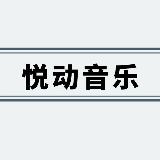 悦动音乐（车载优盘）