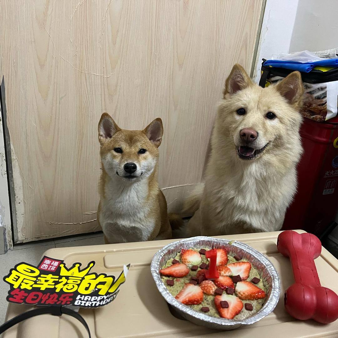 胡师傅的肉松小贝