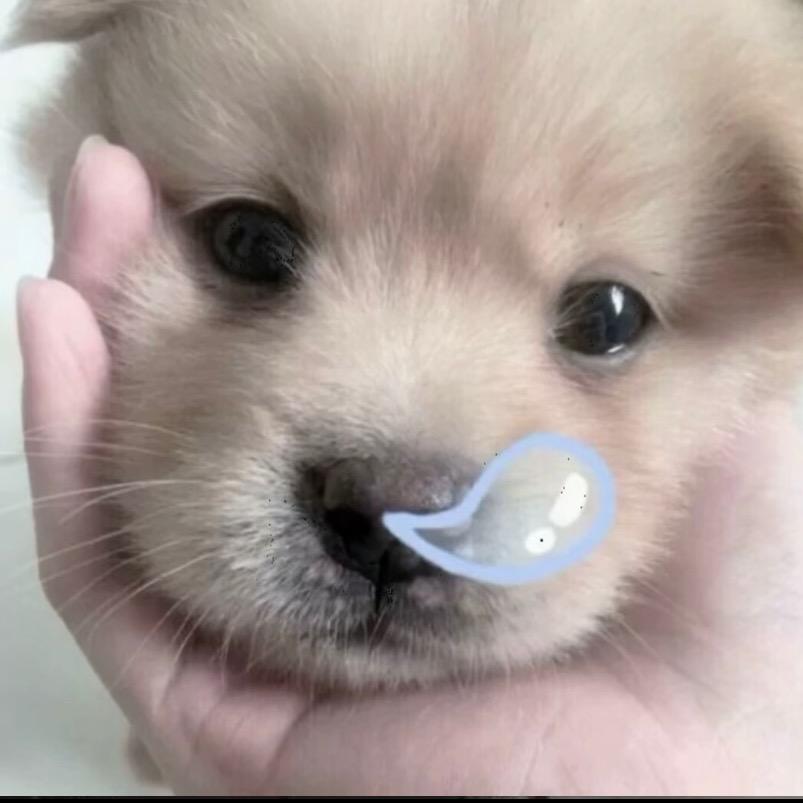 天才小花