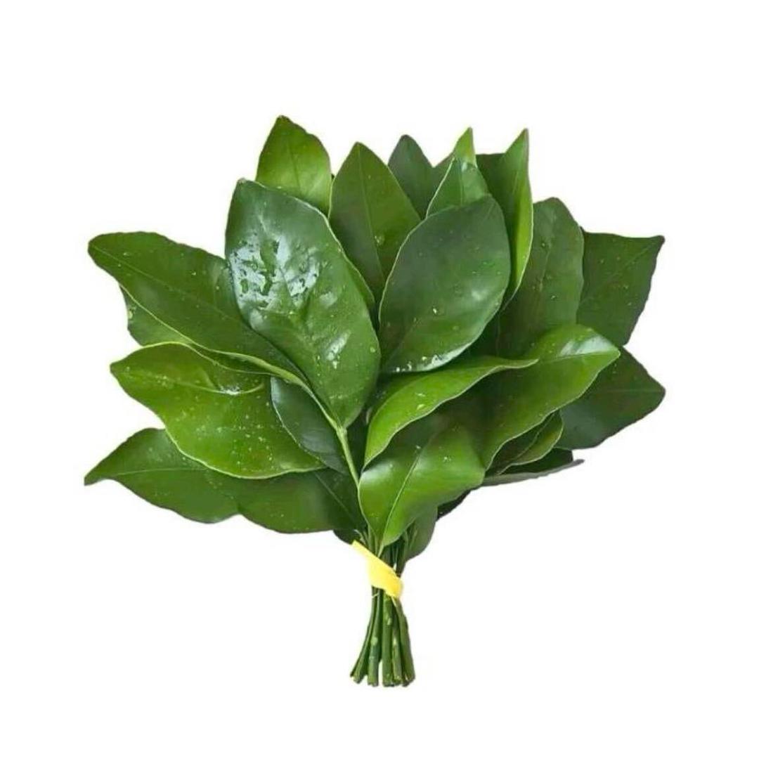 今天练肩了吗
