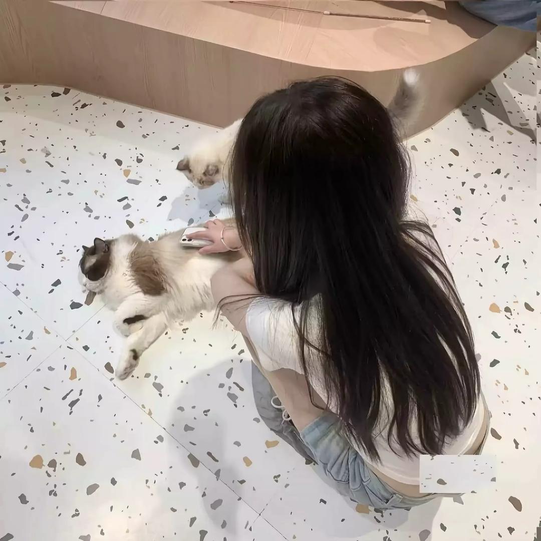 少爷