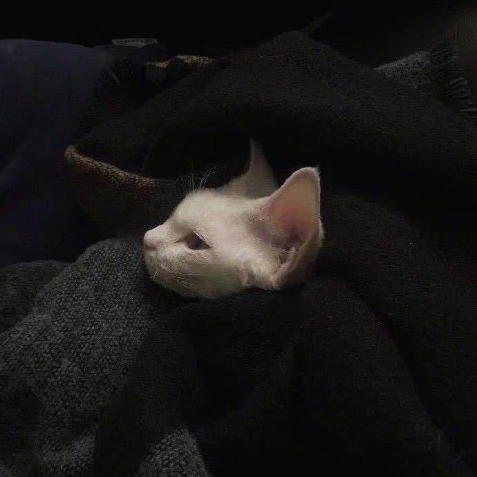 阿杰.