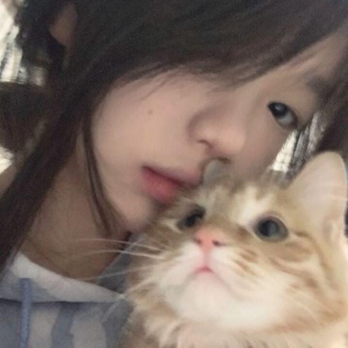 一张地图挺开心头像