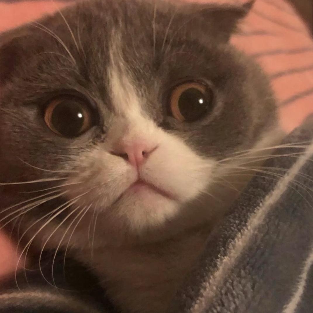 春日的隔音花园