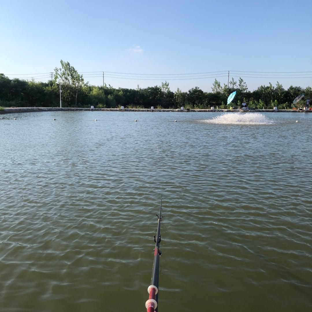 🇨🇳海哥爱钓鱼🌈