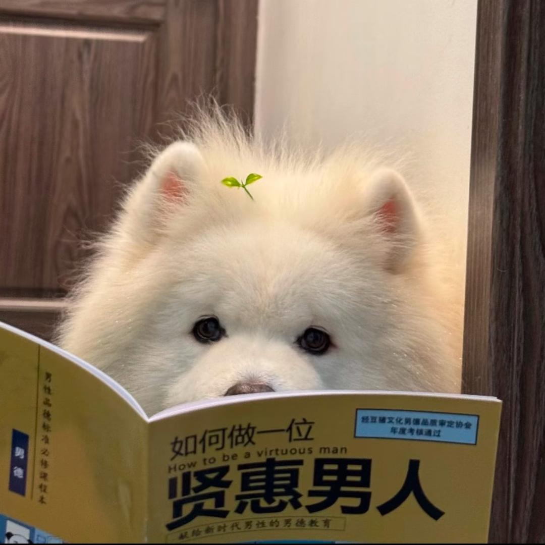 熔岩原孤丘头像