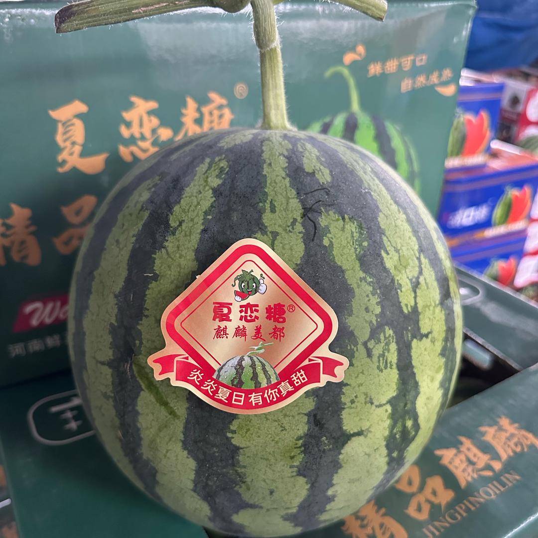 欧阳洋