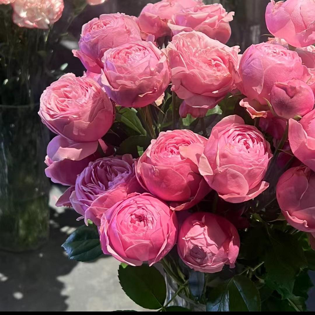 ㊗️你圆满🥰护你周全