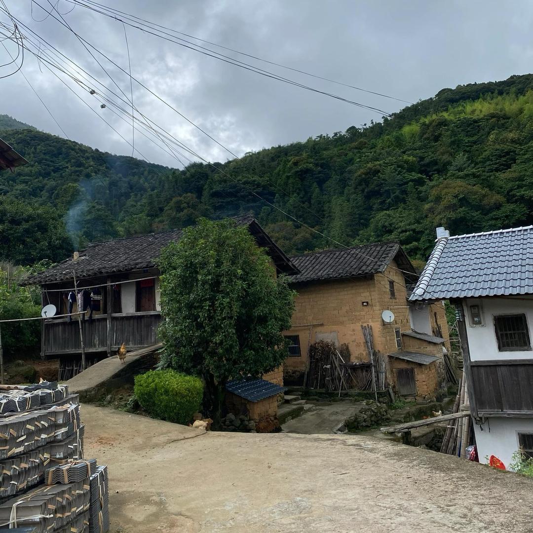 中缅边境跑山人6