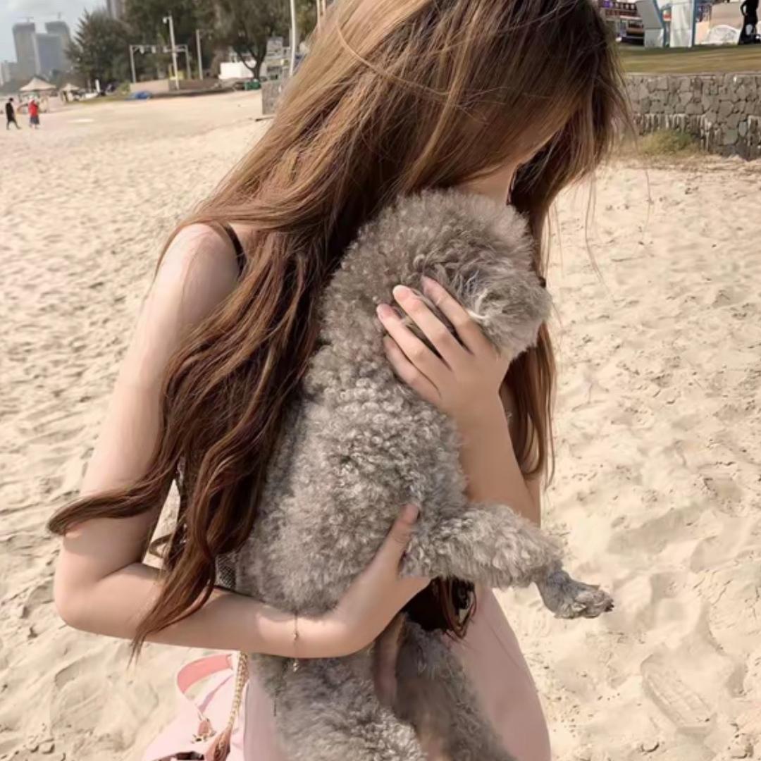 -橘子