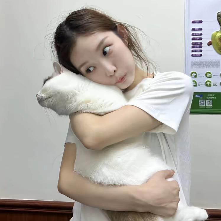 牙不齐