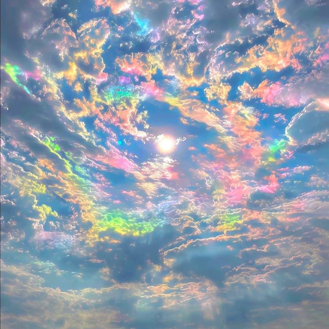 金樽