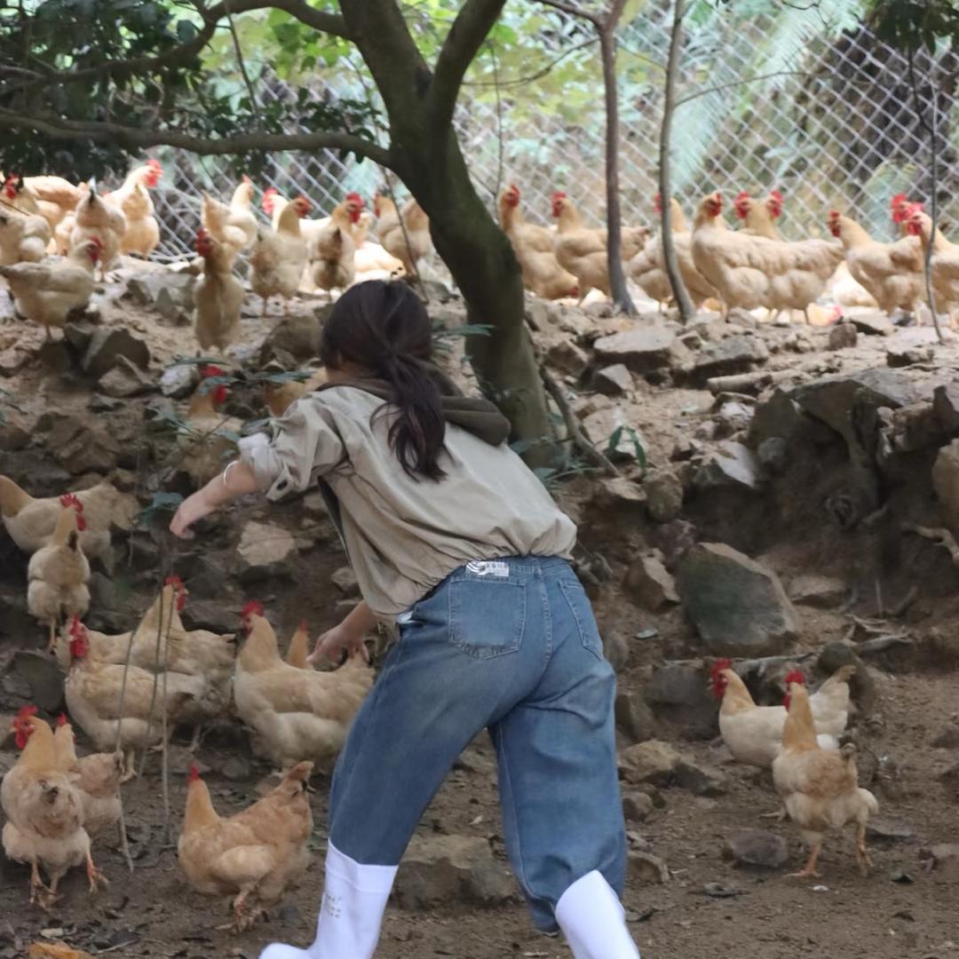 养殖人老李