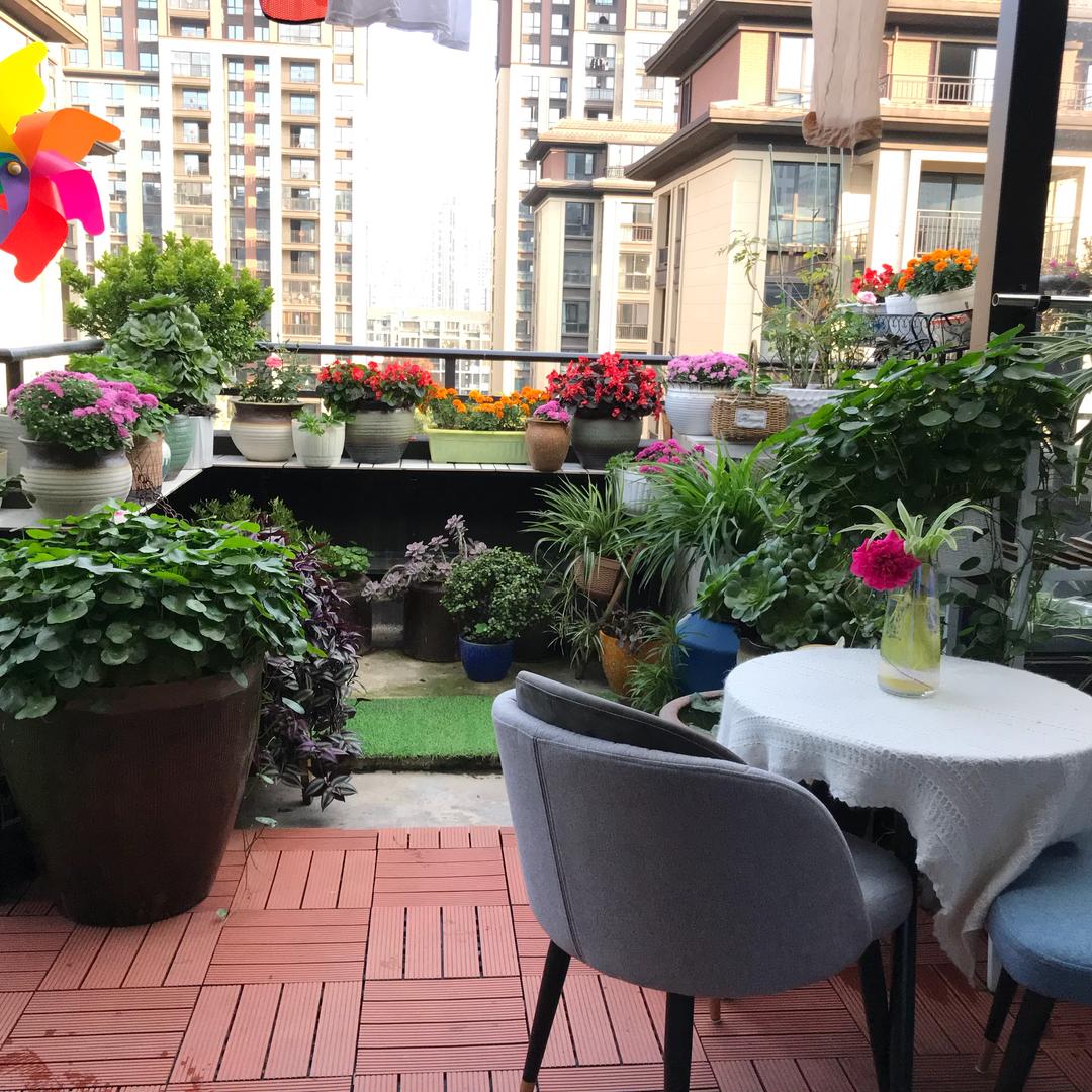6楼加7楼的小花园