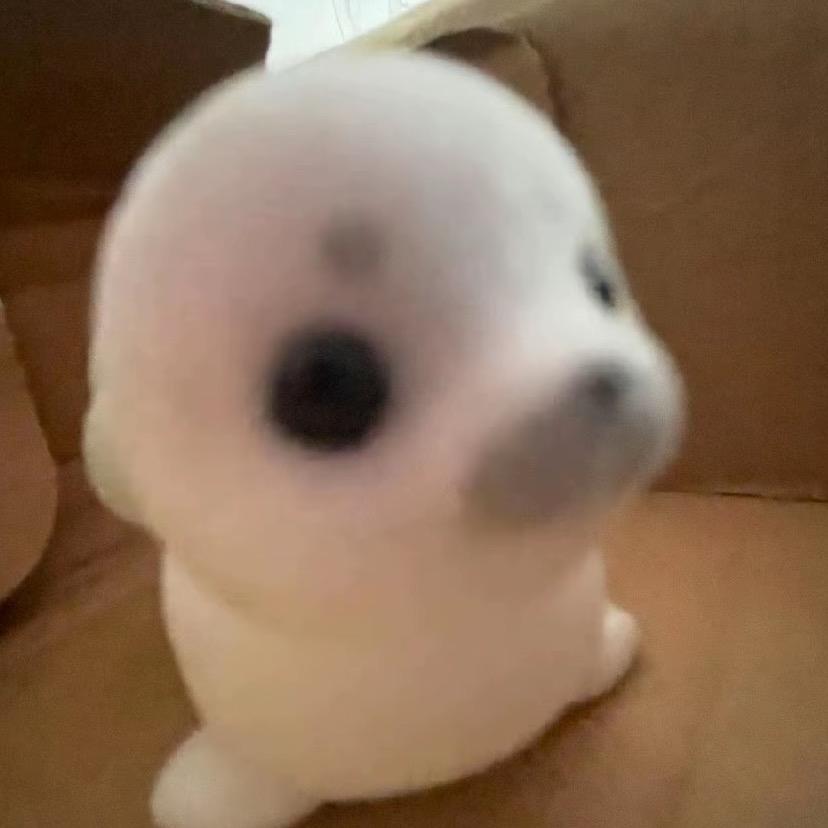 呆呆阳的小饼舞