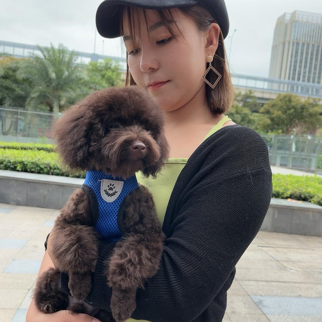 长沙租房找佩姐