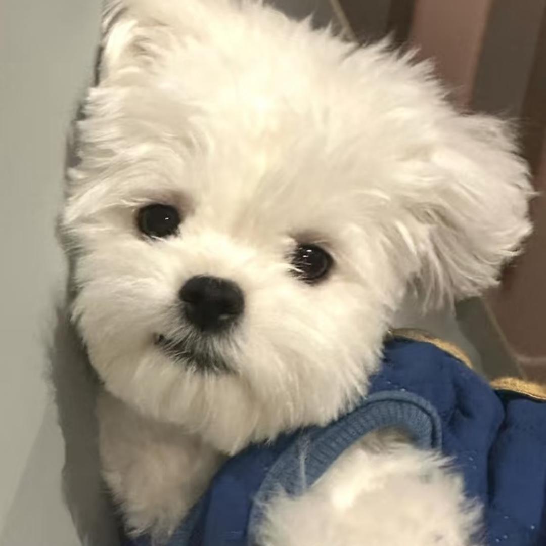 小明去哪了